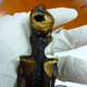 Image for article titled Is this the real story behind the Atacama 'alien' mystery?